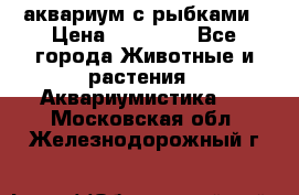 аквариум с рыбками › Цена ­ 15 000 - Все города Животные и растения » Аквариумистика   . Московская обл.,Железнодорожный г.
